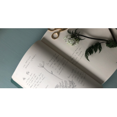 Botanical Journaling with Janette Lamb  Sunday 26th June 2022